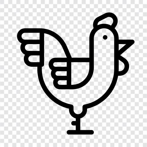 chickenpox, chicken farming, chicken breeds, chicken feed icon svg