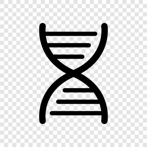 chromosome abnormalities, chromosome disorder, chromosome loss, chromosome gain icon svg