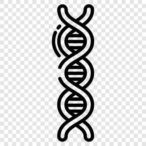 хромосома, генетика, последовательность ДНК, ген Значок svg