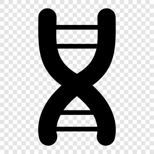 хромосомы, генетический код, ген, мутация Значок svg