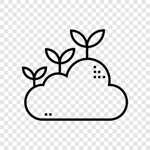 Cloud Computing, Cloud Storage, Cloud Computing Services, Cloud Hosting symbol