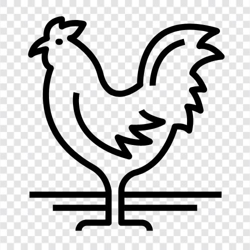 Cock, Hen, Rooster Crowing, Male icon svg