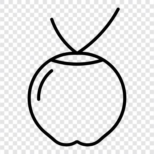 Kokosöl, Kokosmilch, Kokosbutter, Kokosflocken symbol