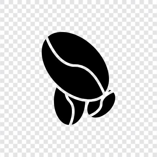 coffee, beans, roast, Arabica icon svg