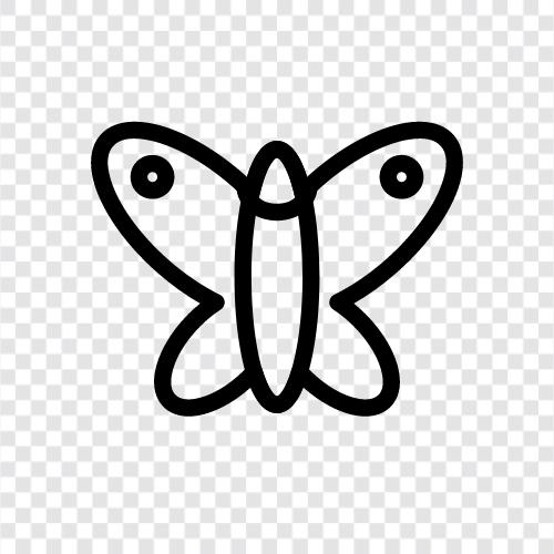 bunt, insekt, muster, flattern symbol