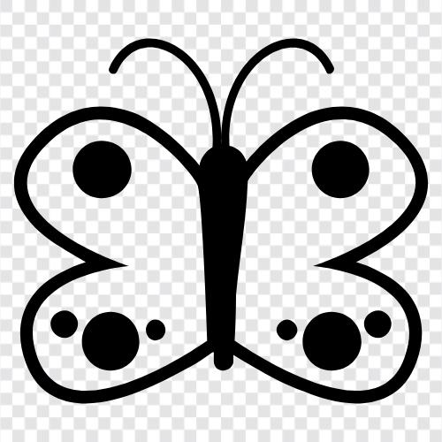 colors, patterns, wings, flutter icon svg