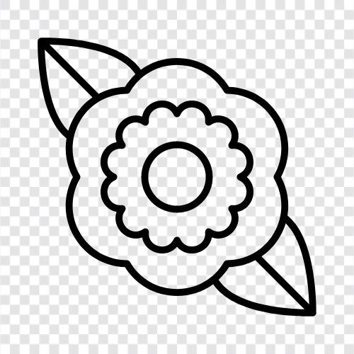 colors, petals, fragrance, Bloom icon svg