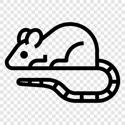 computer mouse, mouse pad, mouse trap, computer mouse trap icon svg