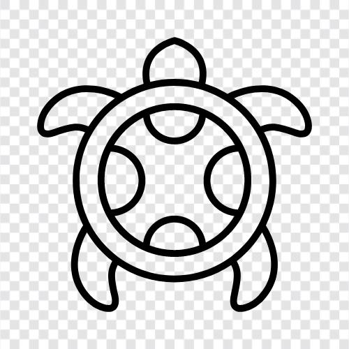 conservation, pet, animal, turtle icon svg