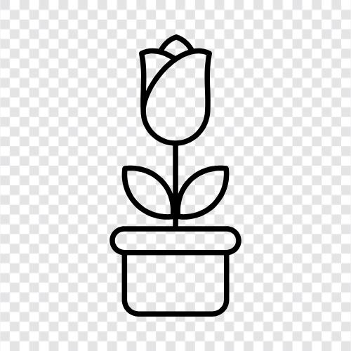 Konteyner, Konteyner Bahçeciliği, Büyüme Çiçeği, Büyüme Bitkileri ikon svg