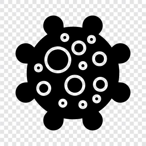 coronavirus disease, coronavirus prevention, coronavirus research, coronavirus icon svg