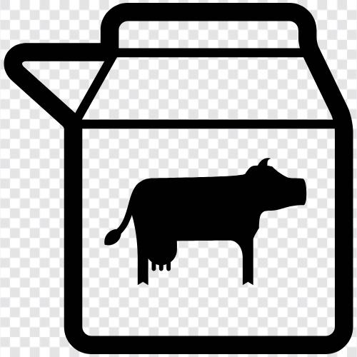 cow milk, goat milk, sheep milk, soy milk icon svg