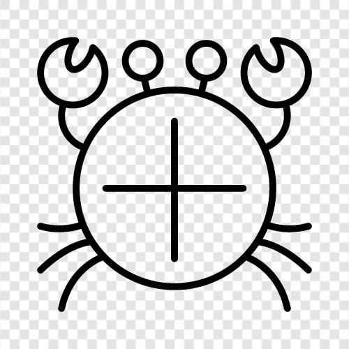 Krabbenfleisch, Krabbenbeine, Krabbenkrallen, Krabbensuppe symbol