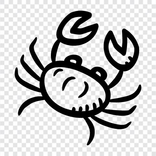 crabbing, crab legs, seafood, seafood restaurant icon svg