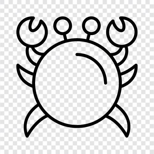 Krabben, Krabbenfleisch, Krabbenkrallen, Krabbenbeine symbol