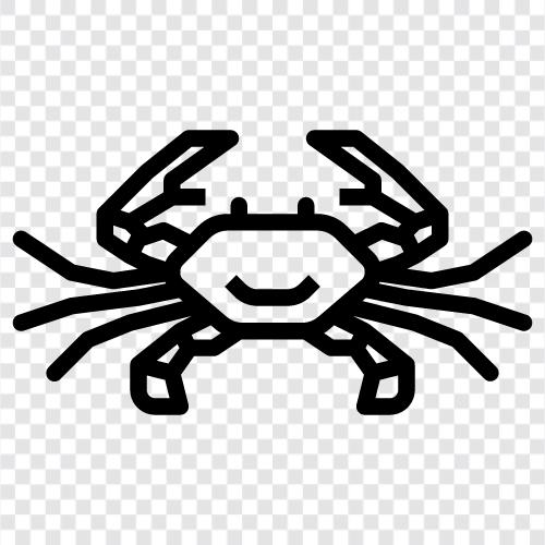 Crabmeat, Crab Legs, Crabmeat Sauce, Crab Cakes icon svg