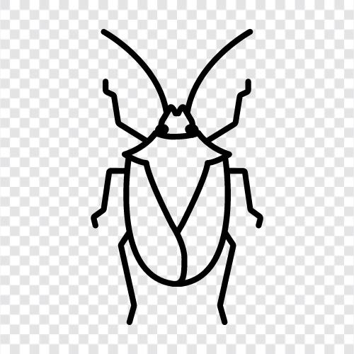 creepy crawlies, flying insects, beetles, butterflies icon svg
