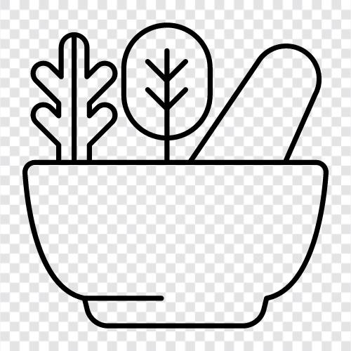 Kulinarische Kräuter, Heilkräuter, Teebaum, Lavendel symbol