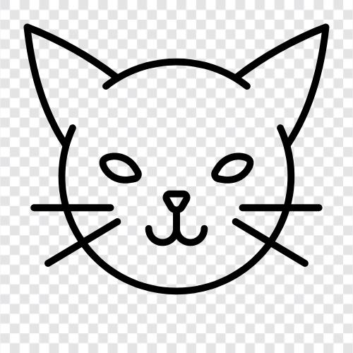 cute, funny, purr, sleepy icon svg