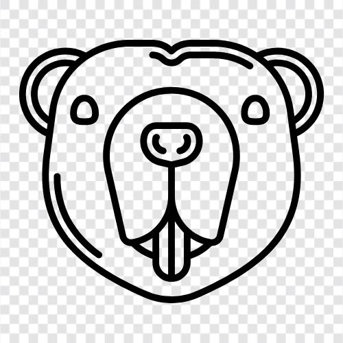 cute, funny, video, animal icon svg