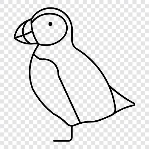 cute, birds, seagull, penguin icon svg