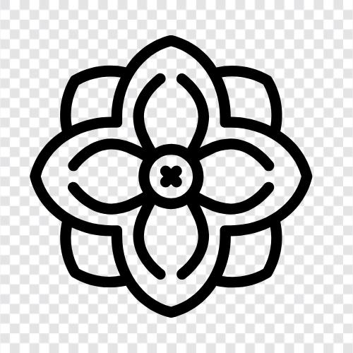 Dahlia, Dahlias, Blume, Blumengarten symbol