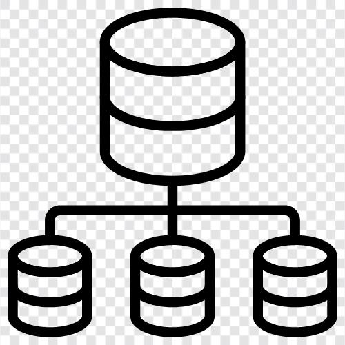 database, server, architecture, network icon svg