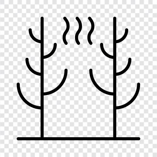 Entwaldung symbol