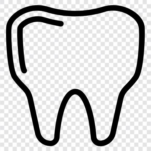 diş bakımı, dental implantlar, dental ofis, dental uzman ikon svg