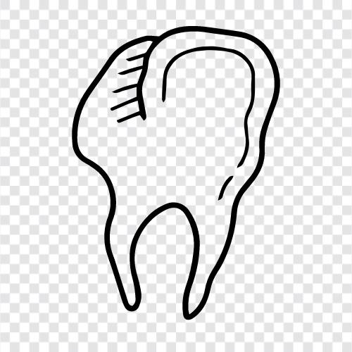 dental, oral, dental care, oral health icon svg