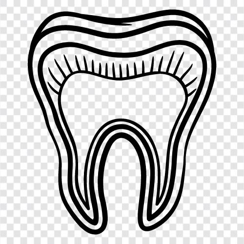 dentistry, dental, teeth, gums icon svg