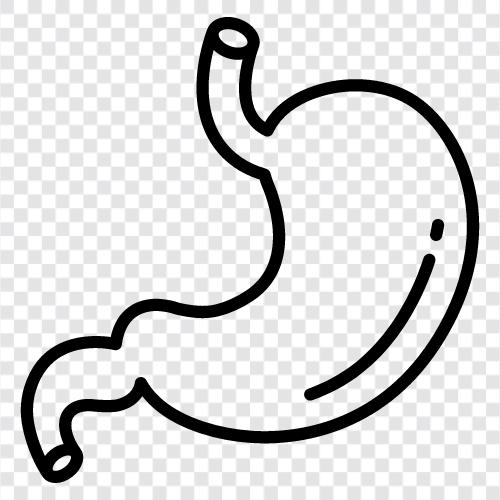 digestion, stomach problems, stomach ache, stomach pain icon svg