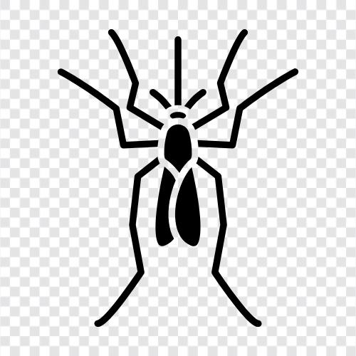 disease vector, disease, vector control, prevention icon svg