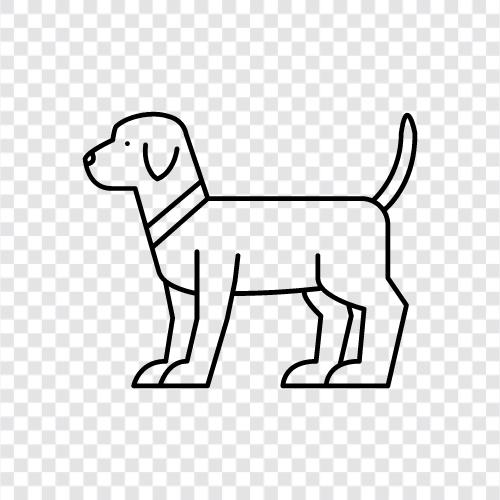 Dog Breed, Dog Breeds, Dog Food, Dog Feed icon svg