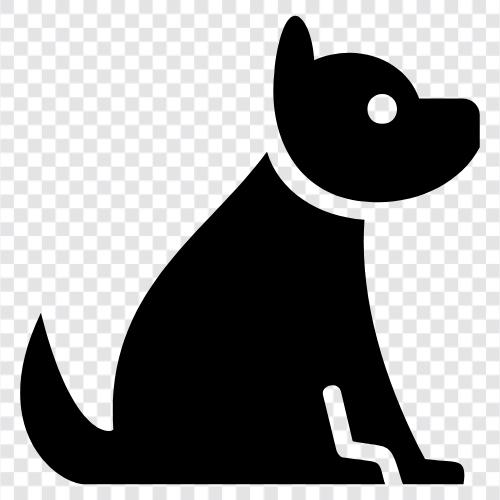 dog breeds, dog breeds for sale, dog breeds for adoption, Dog icon svg