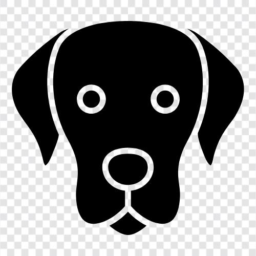 dog breeds, dog training, dog food, dog grooming icon svg