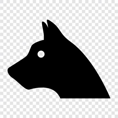 dog breeds, dog breeds for sale, dog breeds for adoption, Dog icon svg