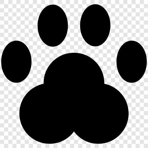 dog, animal, pet, toy icon svg