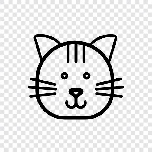 domestic cat, house cat, pet cat, cuddle cat icon svg