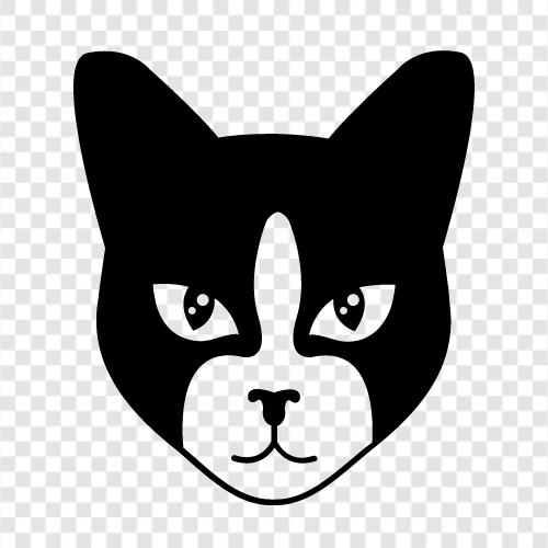 domestic cat, house cat, pet cat, cute cat icon svg