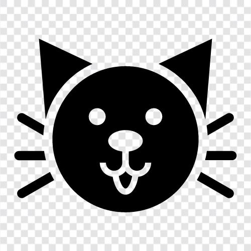 Hauskatze, Katze symbol