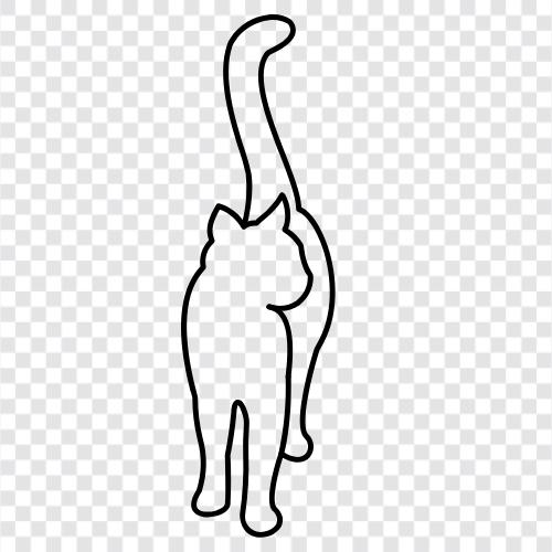 Hauskatze, Deutscher Shephard, Hauskatze Verhalten, Katze symbol