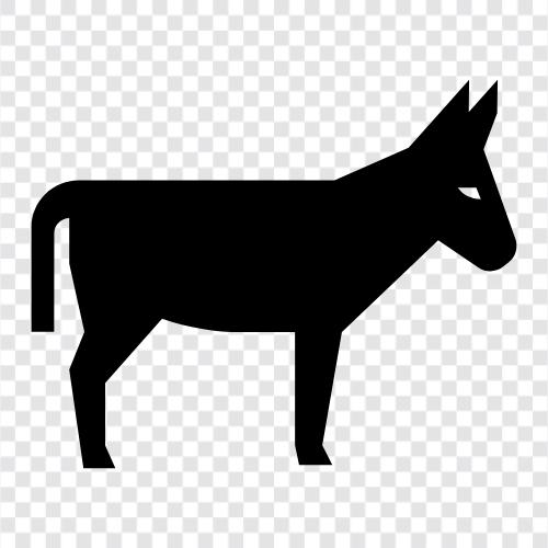 donkey icon svg