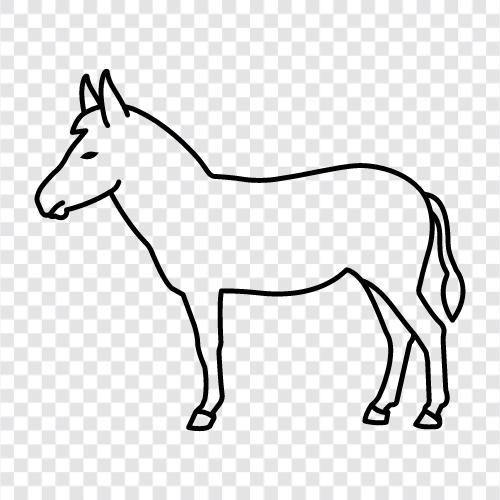 donkey icon svg