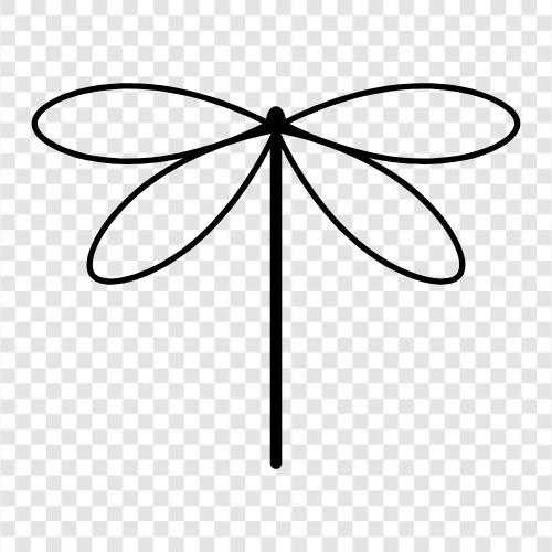 dragonflies, flying, dragonfly photography, dragonfly habitat icon svg