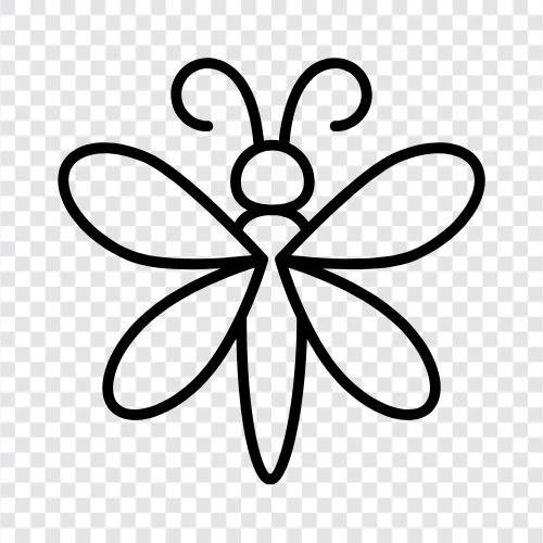 dragonflies, insects, flying, flying insects icon svg