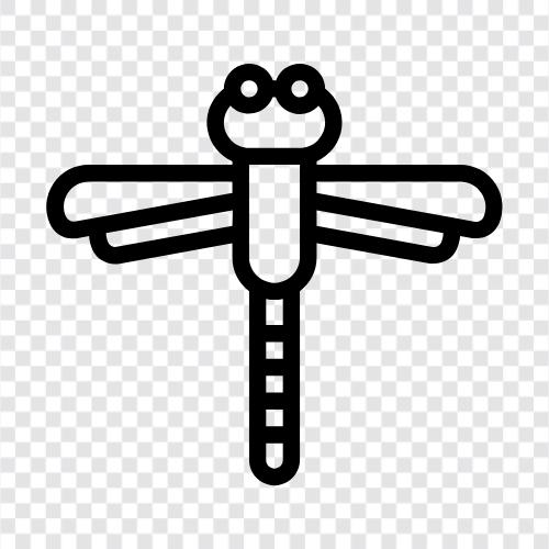 yusufçuklar, dragonfly larvaları, dragonfly yumurtaları, evcil hayvanlar olarak dragonflies ikon svg