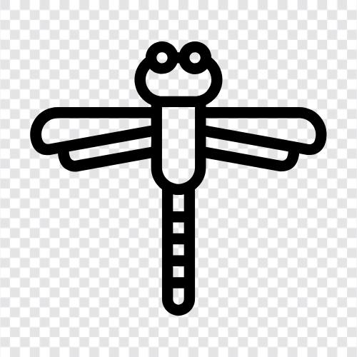 Libellen, Libellenlarven, Libelleneier, Libellen als Haustiere symbol