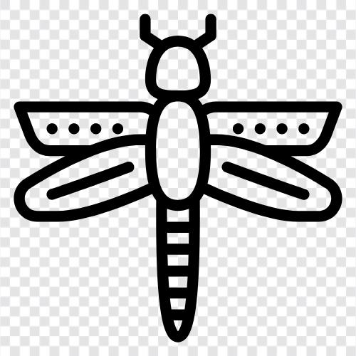 yusufçuklar, dragonfly larvaları, dragonfly resimleri, dragonfly avcılığı ikon svg