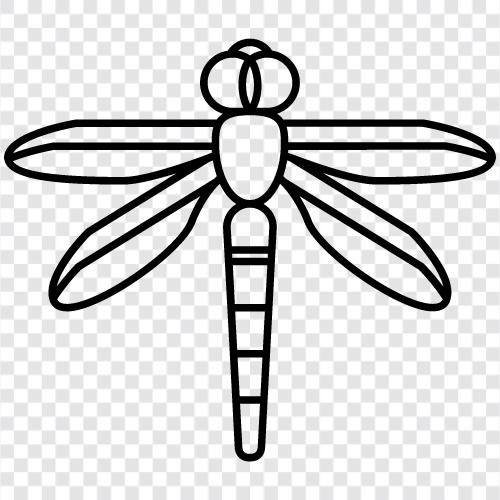 dragonfly icon svg